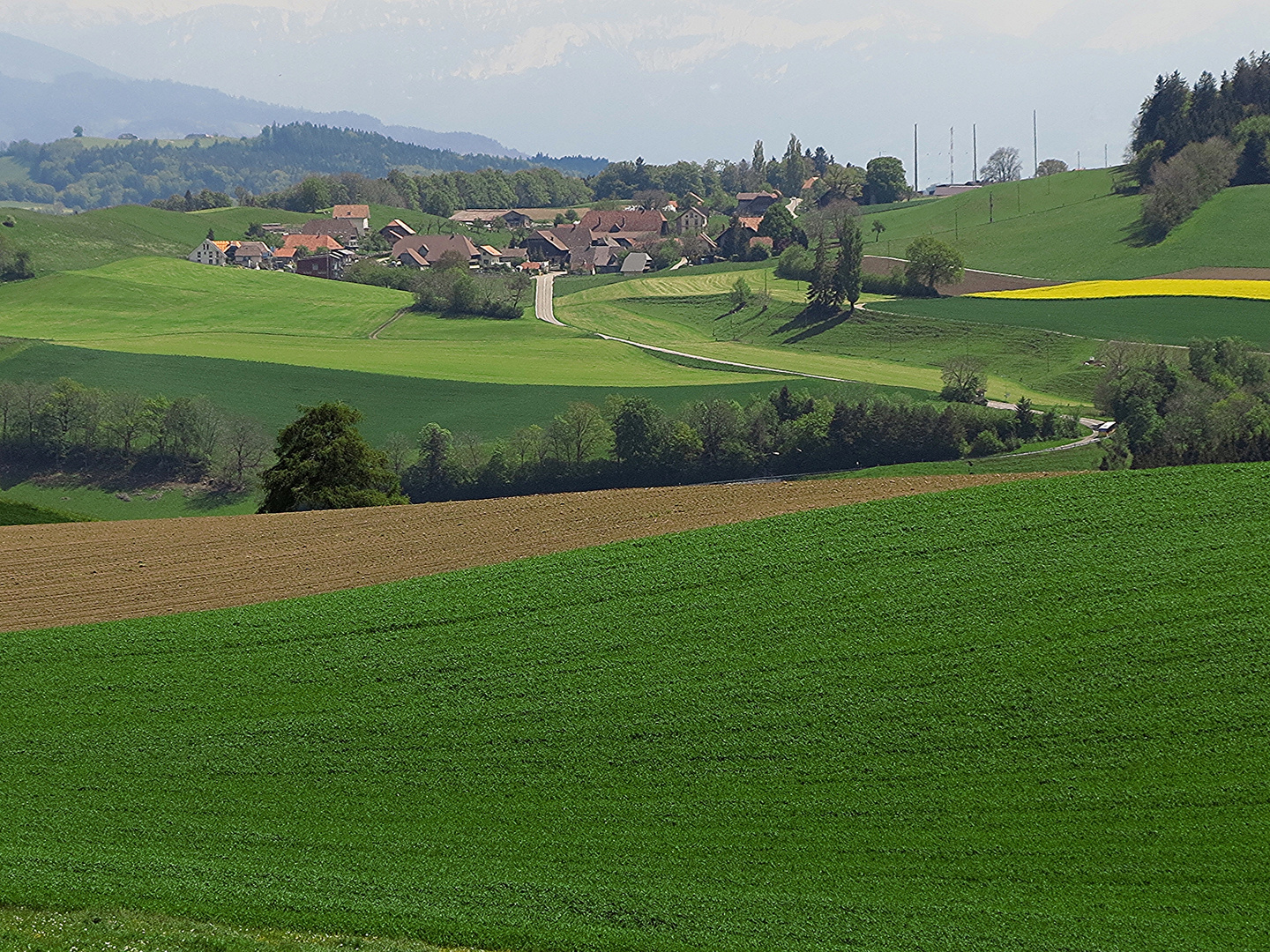 Englisberg b. Bern 