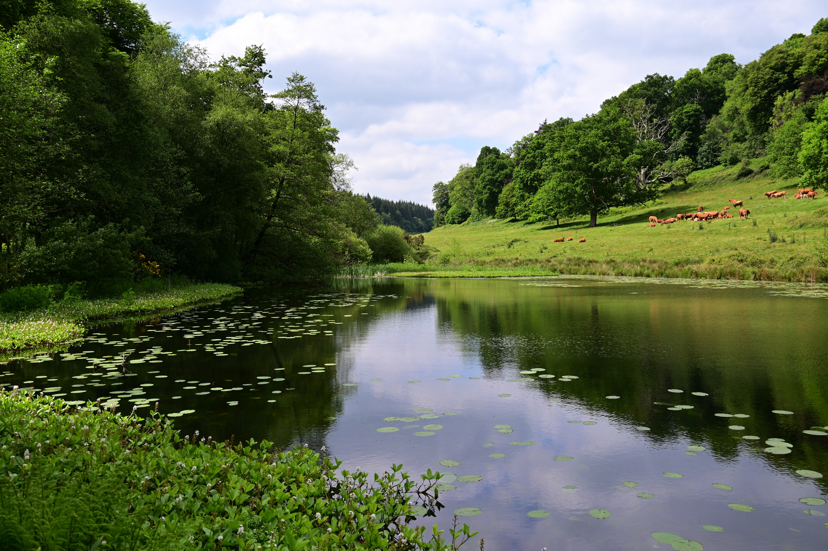 Englische Idylle