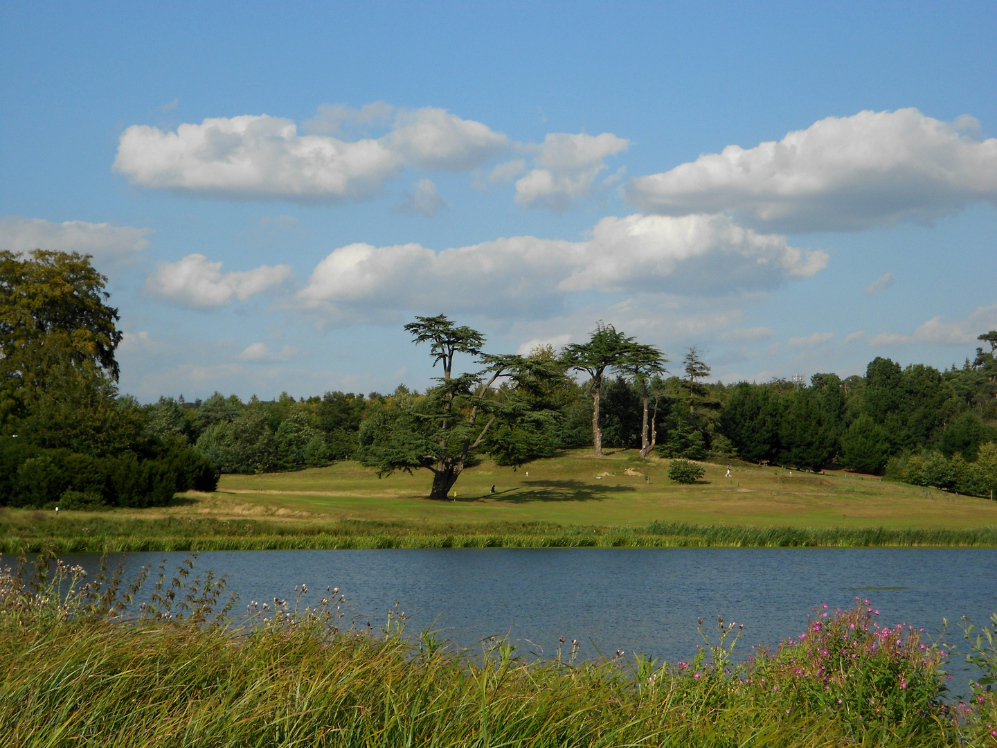 Englische Landschaft