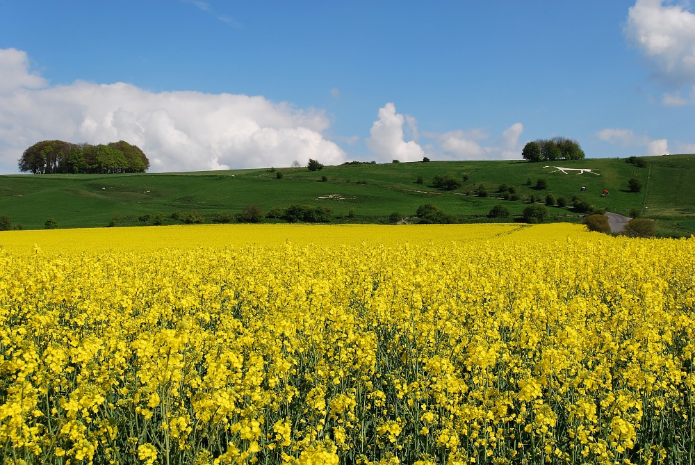 englische Landschaft