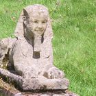 englische Sphinx