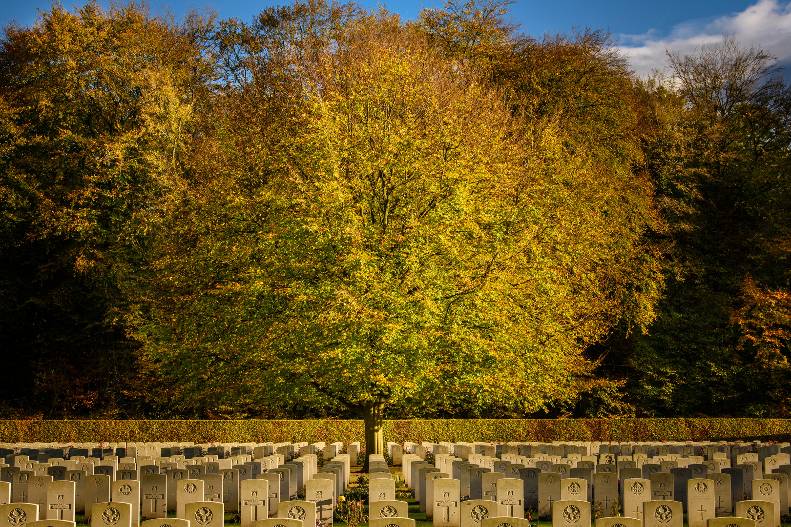 Englischer Friedhof