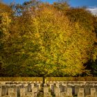 Englischer Friedhof