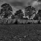 Englischer Friedhof Hannover - Dunkelheit