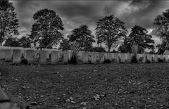 Englischer Friedhof Hannover - Dunkelheit