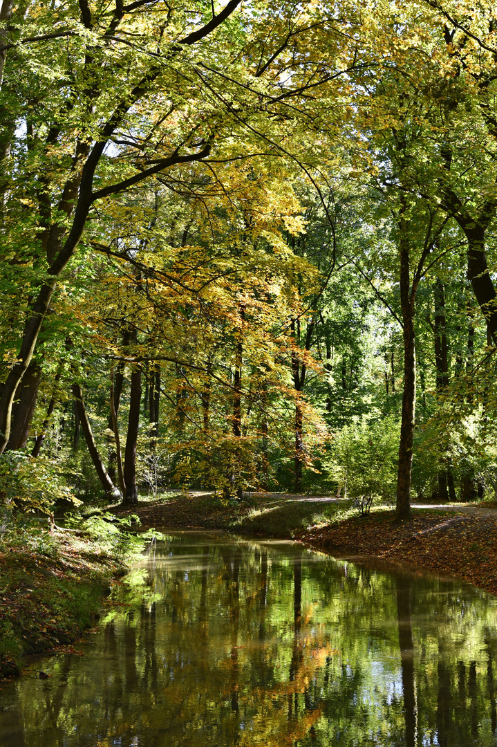 Englischer Garten 01