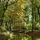 Englischer Garten 01