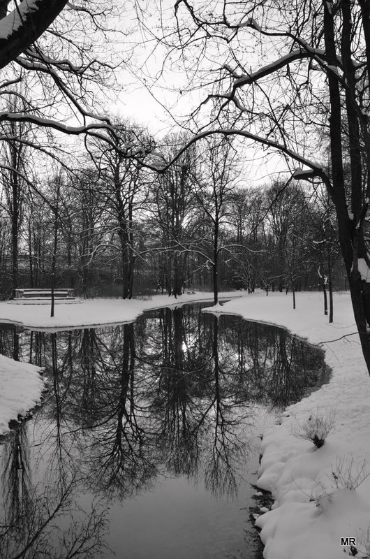 Englischer Garten