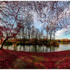 Englischer Garten