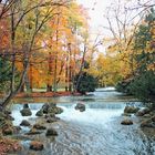 englischer Garten 1