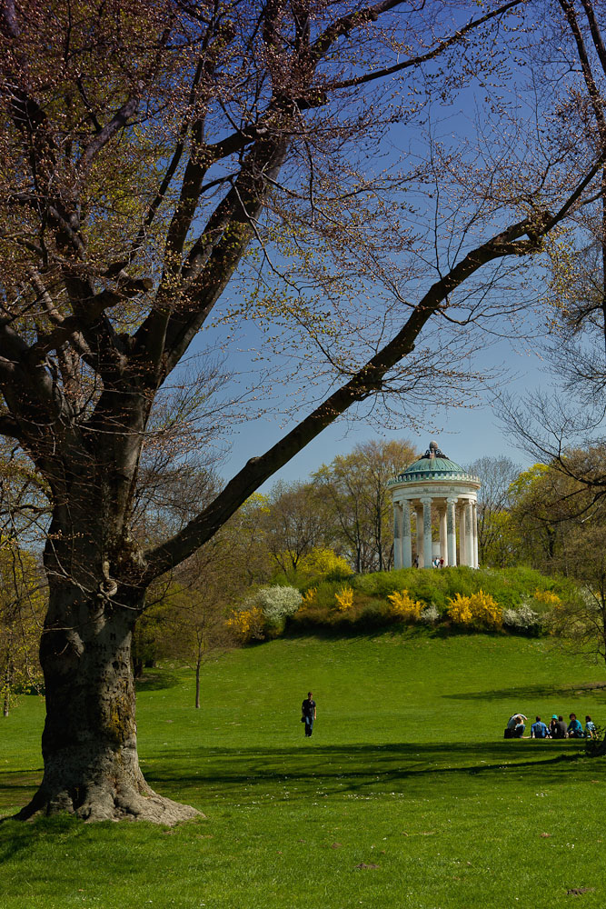 Englischer Garten