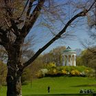 Englischer Garten