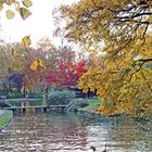 englischer Garten 2