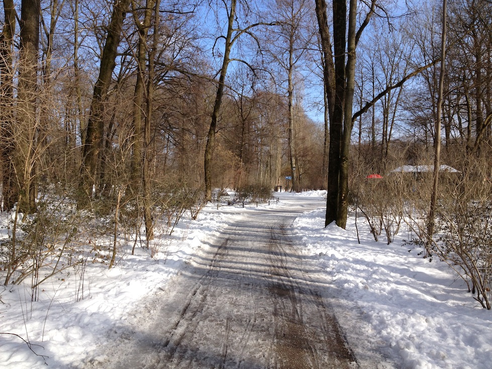 Englischer Garten 3