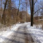 Englischer Garten 3