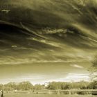 Englischer Garten