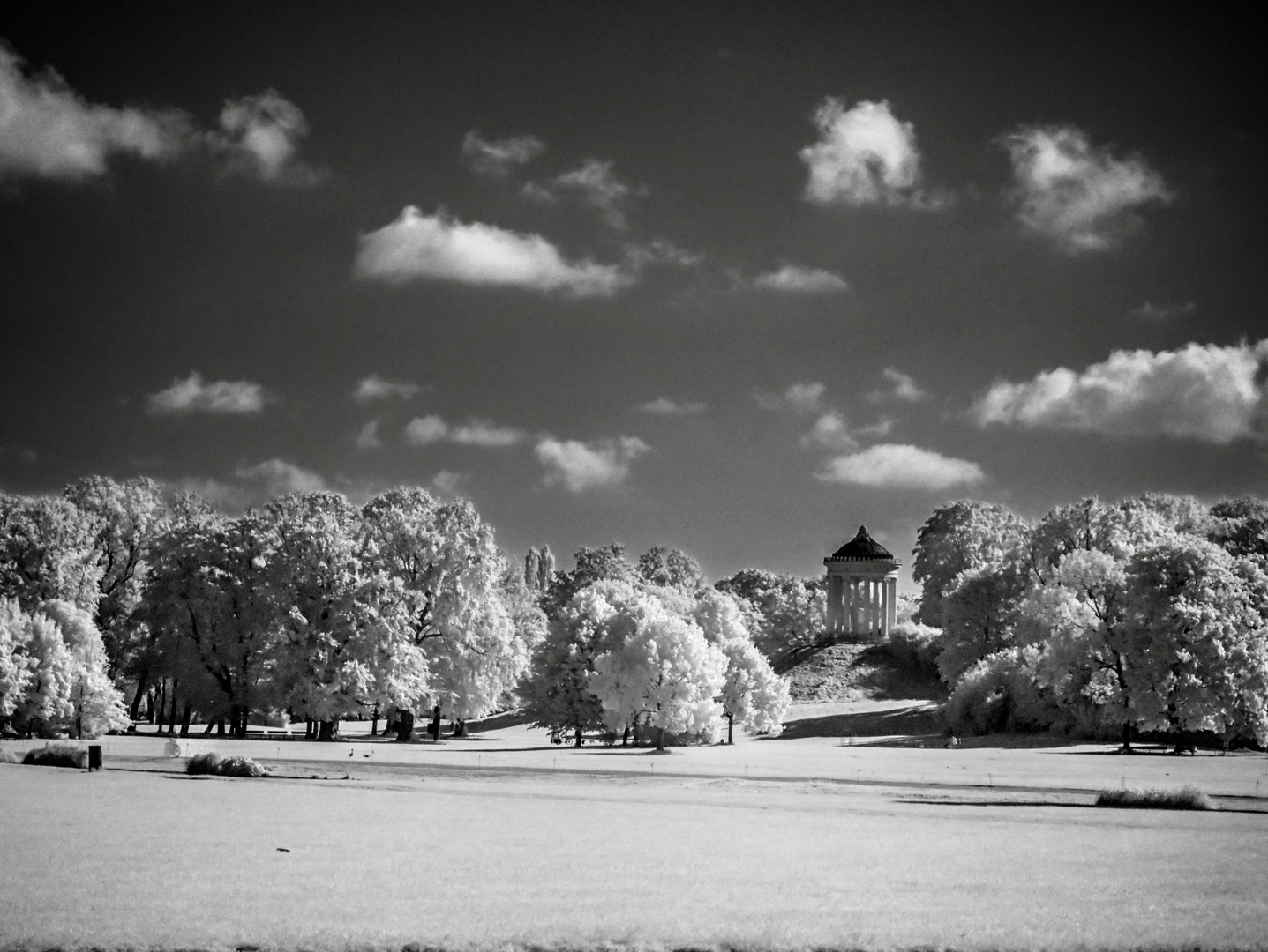 Englischer Garten