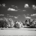 Englischer Garten