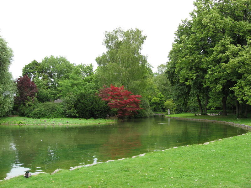 Englischer Garten