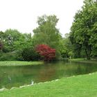 Englischer Garten