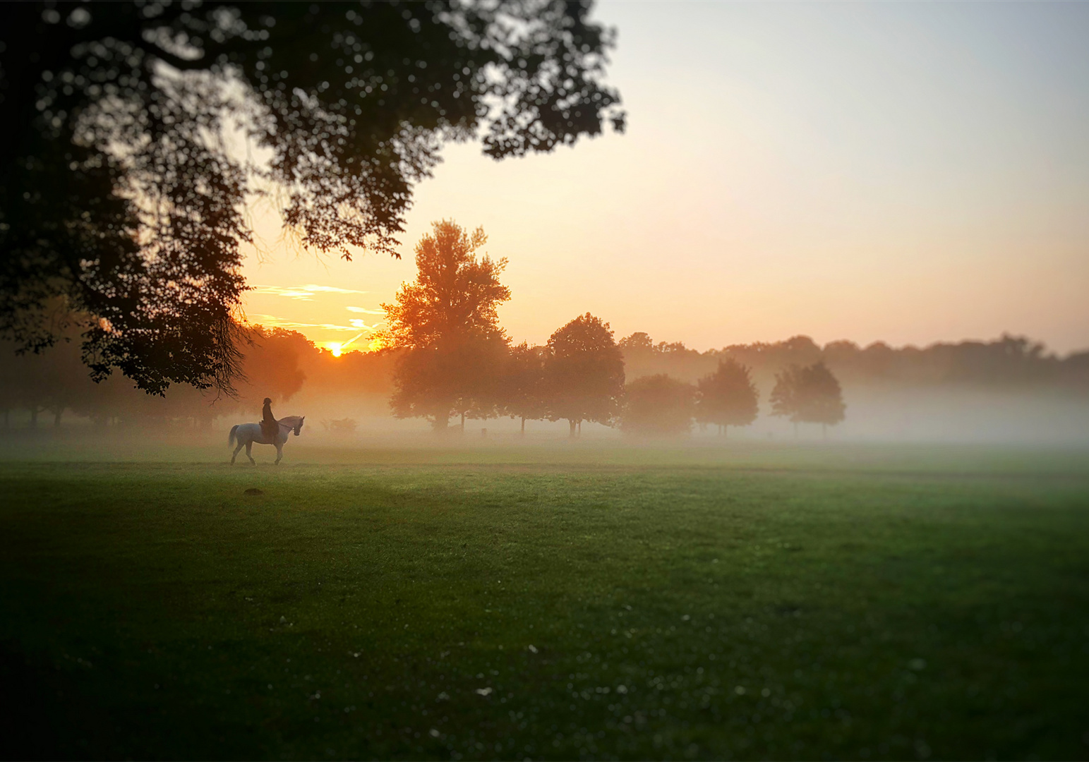 Englischer Garten