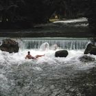 Englischer Garten