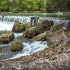 englischer garten 