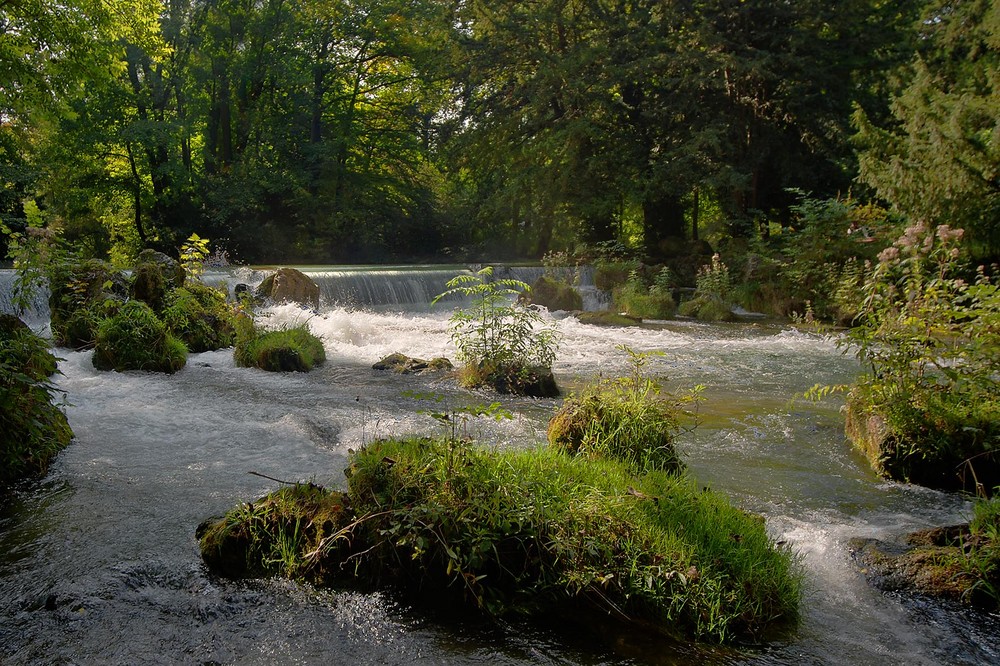 Englischer Garten