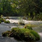 Englischer Garten