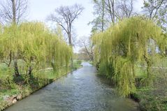 Englischer Garten Bild 2