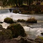 Englischer Garten