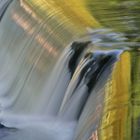 Englischer Garten