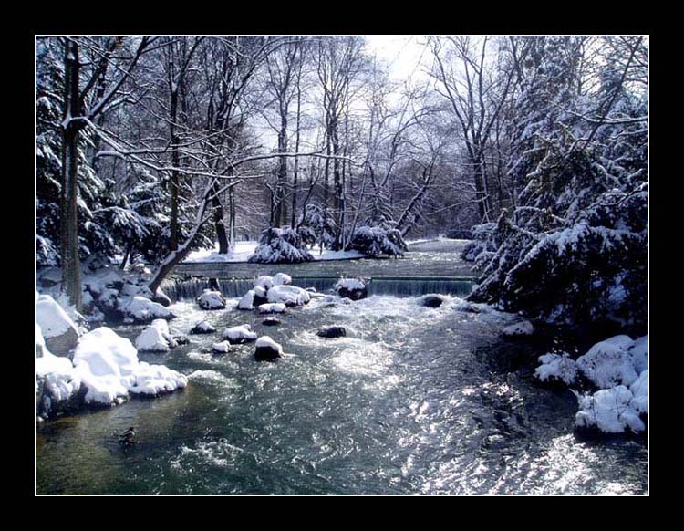 englischer garten.