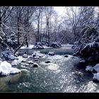 englischer garten.