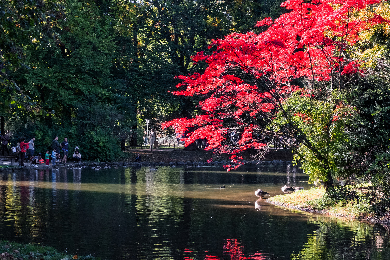 Englischer Garten