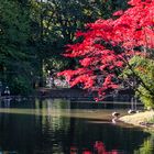 Englischer Garten