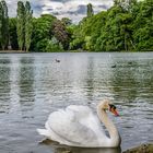 englischer garten