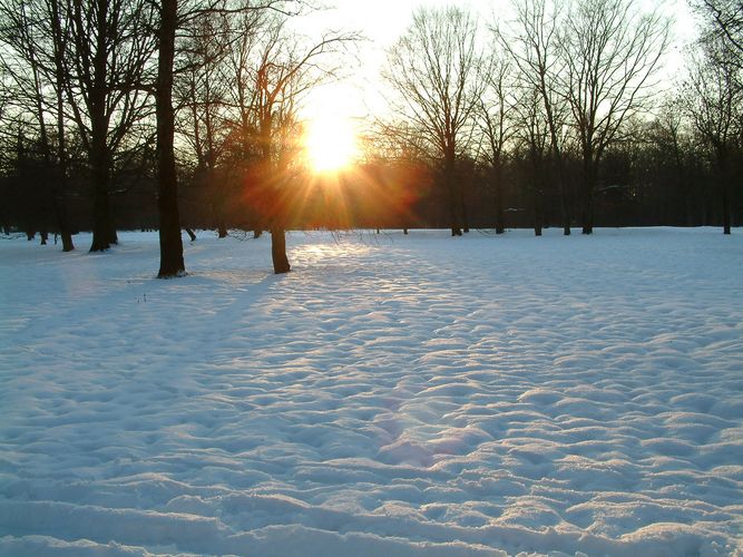 Englischer Garten