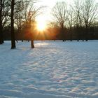 Englischer Garten