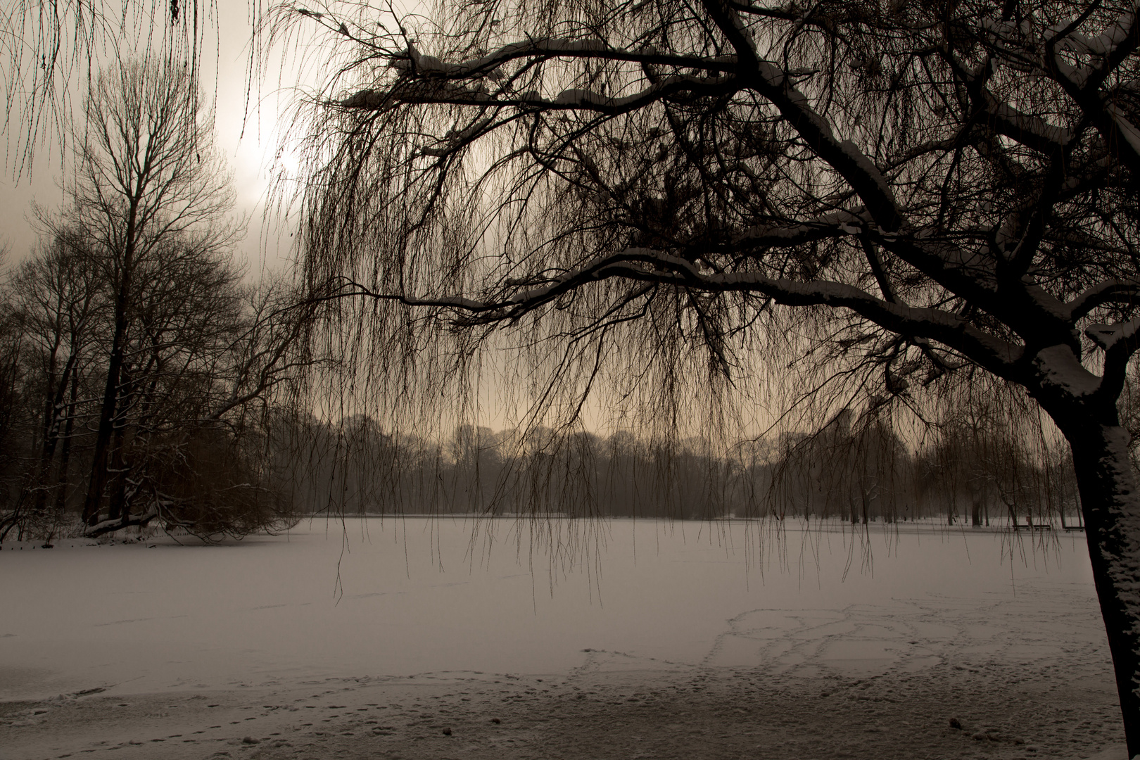 Englischer Garten