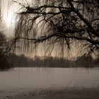 Englischer Garten