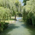 Englischer Garten