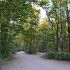 Englischer Garten