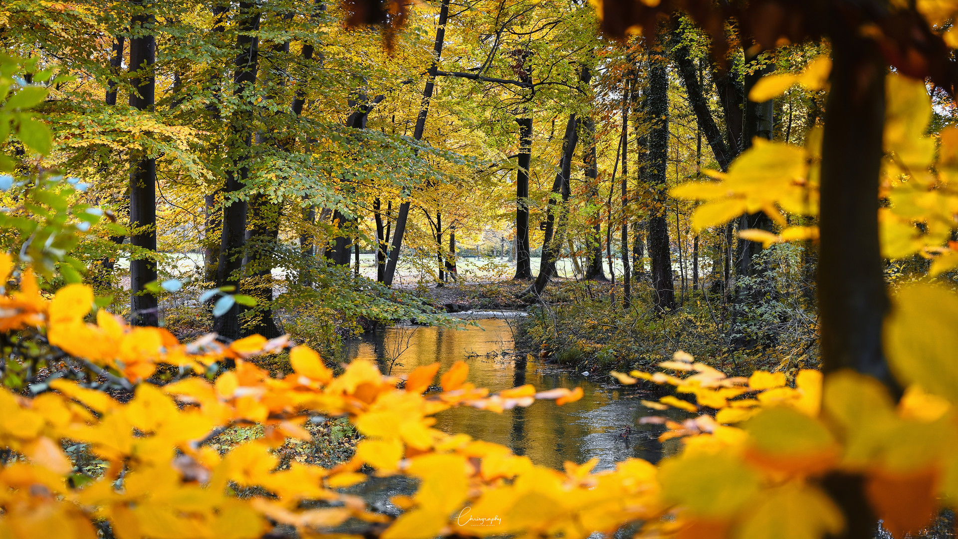 Englischer Garten Herbst Edition