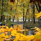 Englischer Garten Herbst Edition