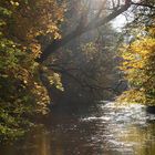 Englischer Garten I