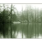 Englischer Garten III