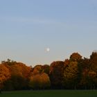 Englischer Garten im Herbst