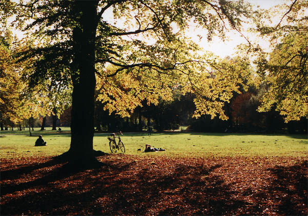 Englischer Garten im Oktober