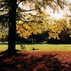 Englischer Garten im Oktober